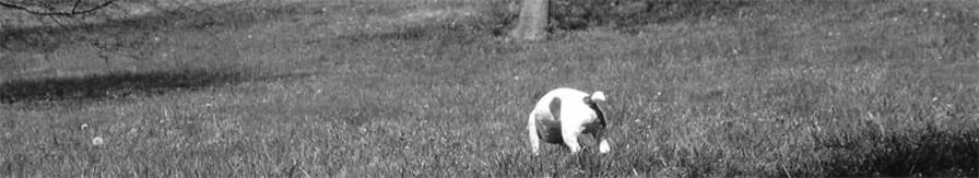 Enavigo header image 2