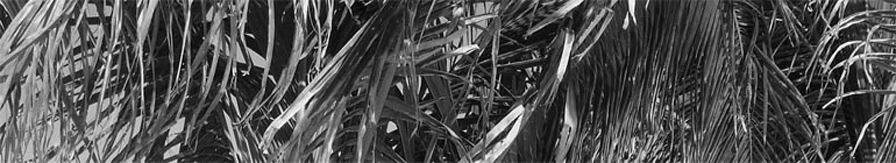 Enavigo header image 3
