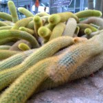 WP_20131229_11_18_26_Raw