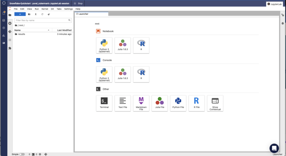 The JupyuterLab environment inside Domino Data Lab's workspace. 