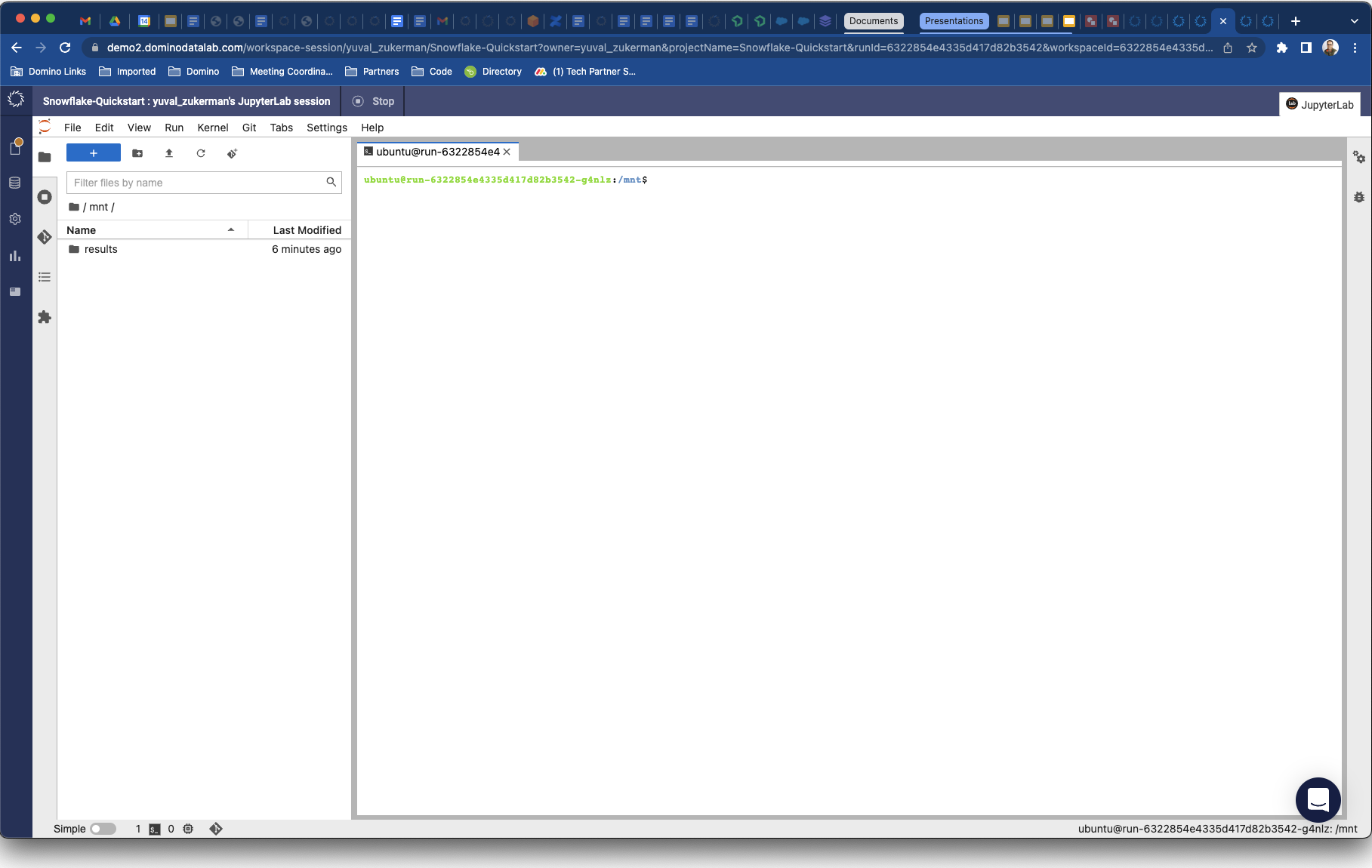 The terminal window once started.